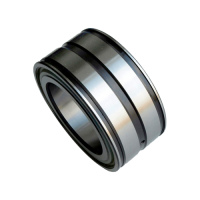 Double Row Cylindrical Roller Bearing